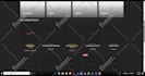 create a professional wordpress website