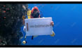 write an arabic diver custom message