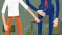 create a professional custom explainer video animation