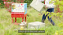 provide professional video editing
