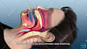 create 3d medical animation and 3d modeling