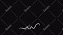 create motion graphics and animation