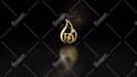 make elegant gold, silver logo animations for your brand