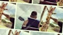 do professional video editing and motion graphics