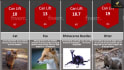create viral probability comparison video for youtube