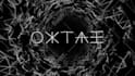 animate your logo in a 4k vj loop video