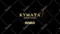 do custom luxury logo animation intro