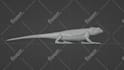 model, rig and or animate your 3d characters