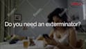 customize this funny realtor house search or pest control ad