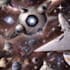 create ai video with stable diffusion using deforum