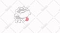 create amazing 2d cartoon animation for you