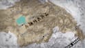 create map animations for your video with geolayers