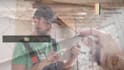 do office painter house painter or painting contractor video