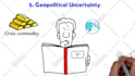 create a professional whiteboard animated explainer video