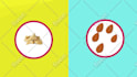 create professional 2d animated explainer and sales videos