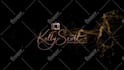 create 3d sketch logo reveal animation