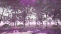 create 3d animation dance video for song