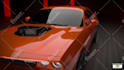 be your 3d modeling, texturing and rendering artist