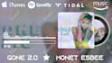 make professional audio spectrum or music visualizer video