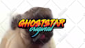 make a pug lick your logo or text only