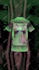 create 3d animation apparel mock up videos