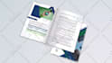 create a professional book interior promo video
