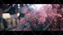 do professional video editing for youtube and social media