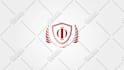 create minimalist logo animation