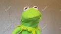 record a video message as kermit the frog