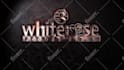 make HD intro laser cut logo in 24 hours