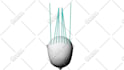 3d modeling, texturing, 3d animation for u