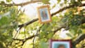 create a magical photo slideshow for your loved ones