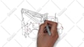 create an engaging whiteboard animation explainer video