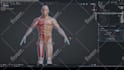 rig your character to epic unreal ue4 and ue5 mannequin skeleton