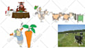 create an animated whiteboard explainer video