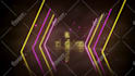 make party, event, awards and wedding invitation video intro