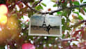do wedding invitation save the date anniversary video