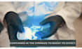 create animated lyrics video for your song