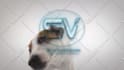 make funny dog licking video with your logo
