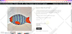 develop or edit your website