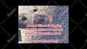edit, convert and fix your audio or video sound within 24hrs