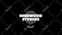 create a professional custom logo animation or intro videos