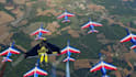 promote your logo and website in flying jet skydive video