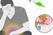 create vector line art video animation or ad videos