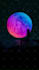 create animation  spotify canvas in 1h