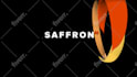 create 50 exceptional logo animation intro video