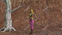 create 3d realistic animation and 3d cartoon animation