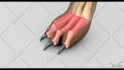 design 3d animation and vfx for u