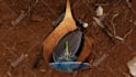do 3d scenes and environment and  backgrounds and  illustrations
