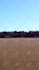 professionally edit your drone video footage